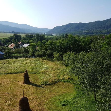 Pensiunea Adeluta Apartament Călimăneşti Eksteriør billede