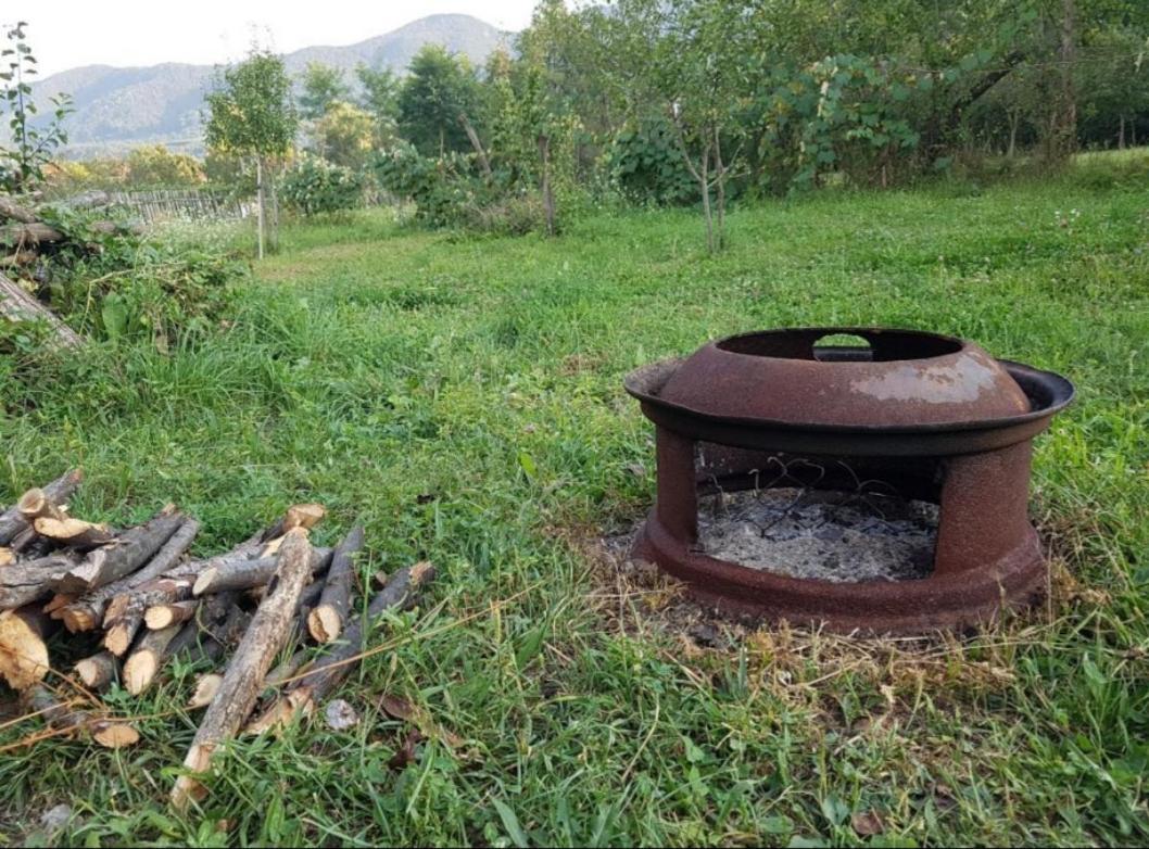 Pensiunea Adeluta Apartament Călimăneşti Eksteriør billede